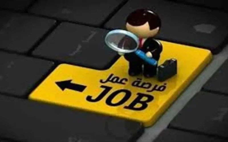 وظائف بـ10 آلاف جنيه عبر بوابة فرصنا التابعة لوزارة التضامن الاجتماعي